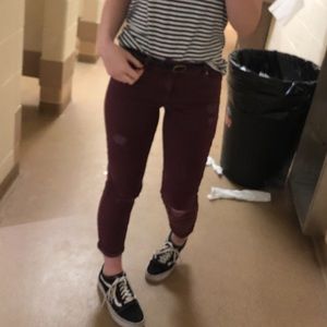 Maroon Jeans